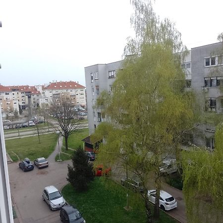 Apartmán Apartman Ciblja Velika Gorica Exteriér fotografie